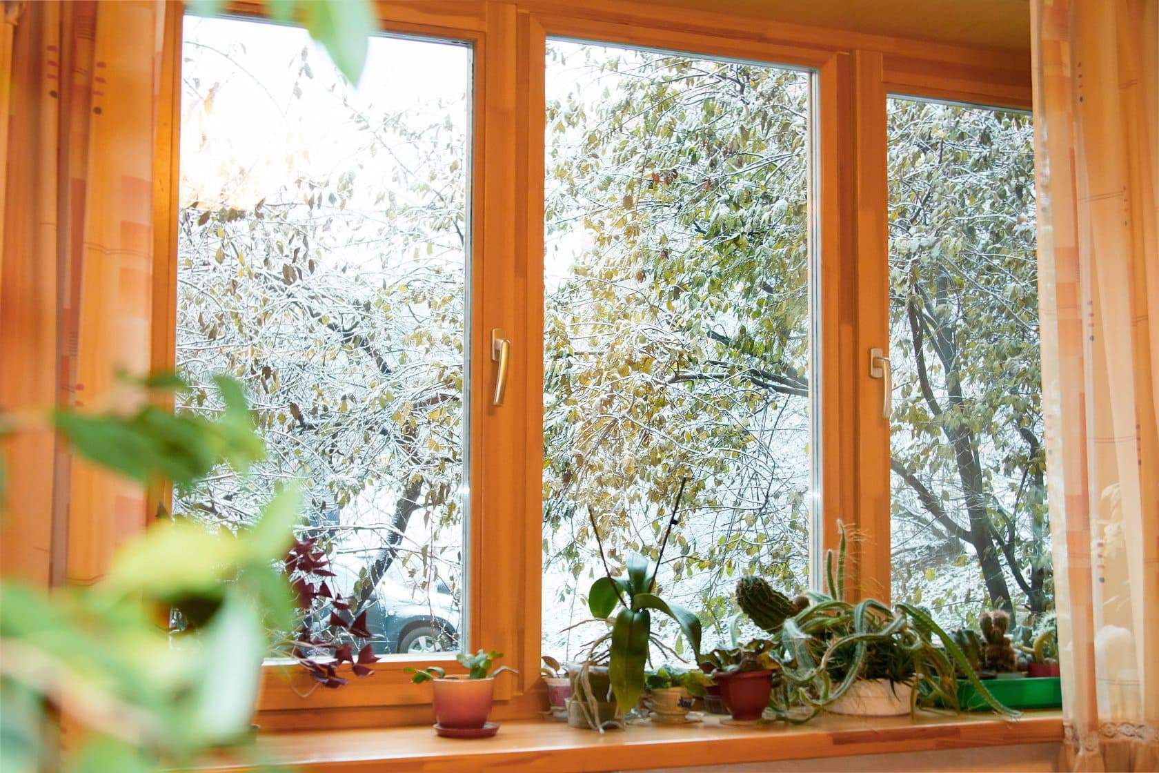 Окна хвойна. Деревянные окна. Стеклопакеты из лиственницы. Деревянные окна из лиственницы. Окно дерево.